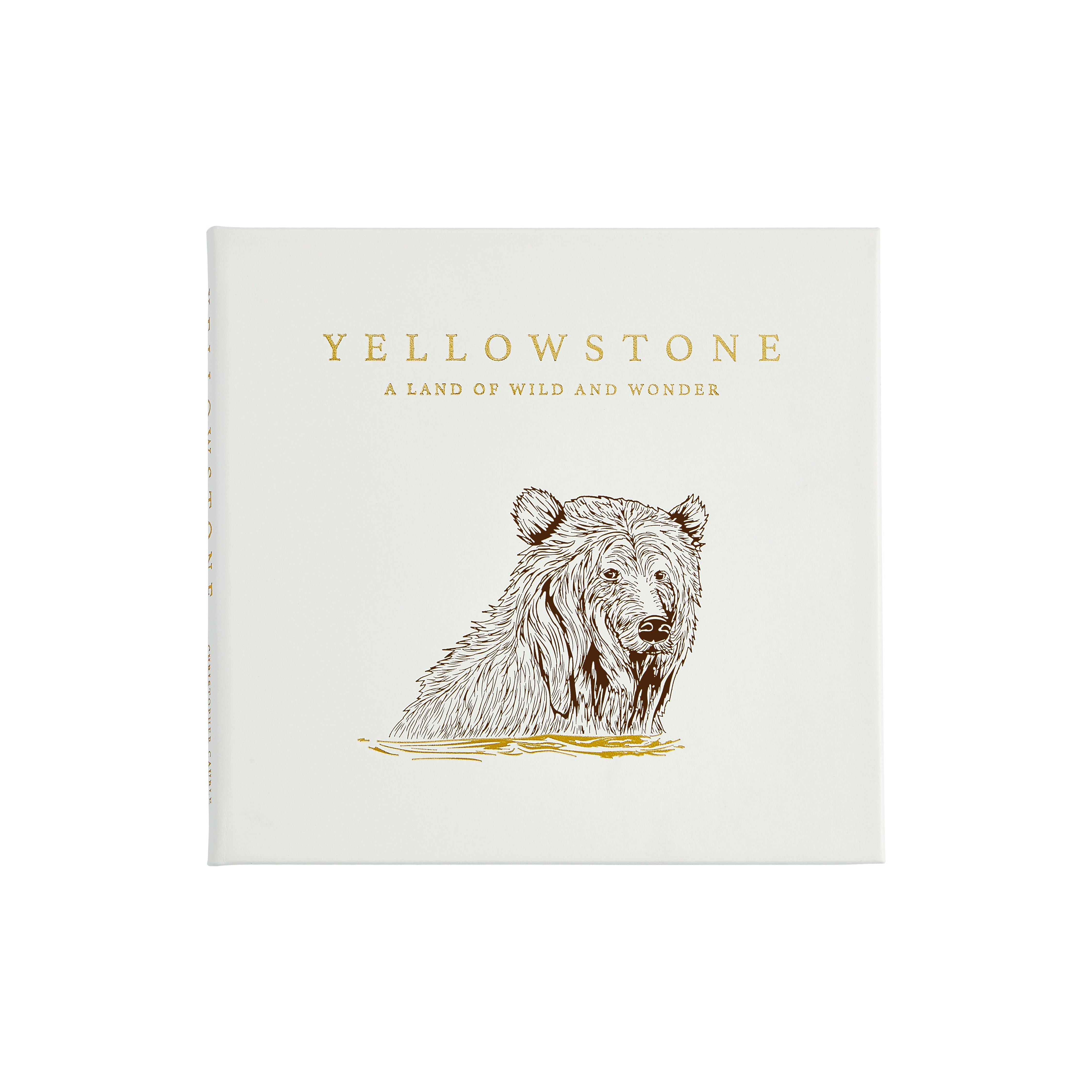 Janie and Jack Yellowstone: A Land of Wild and Wonder LEATHER EDITION